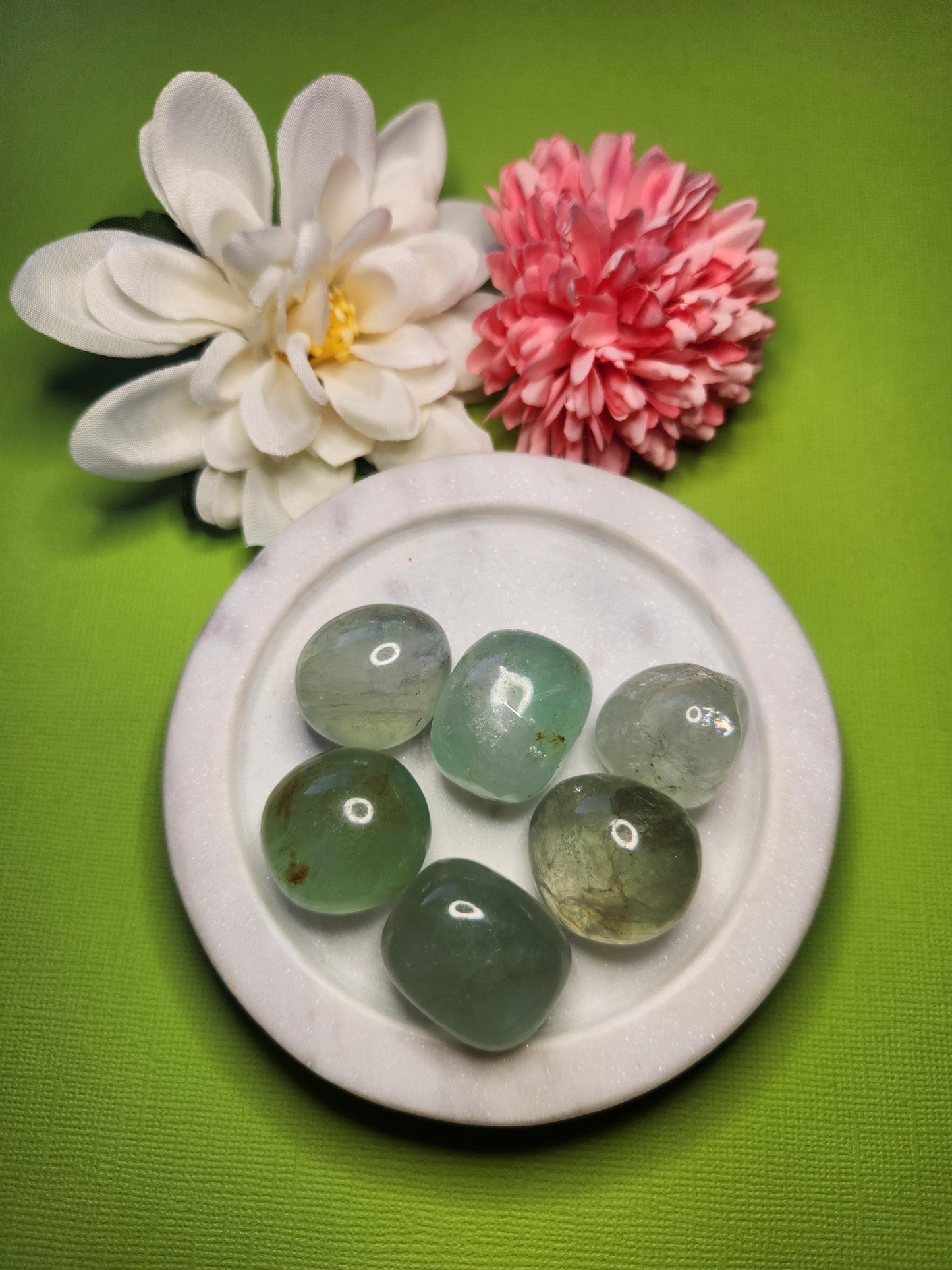 Green Fluorite tumble stones displayed in a white dish with two flower props on a bright green background, showcasing their translucent green color, smooth polished surface, and natural crystal patterns — ideal for healing, meditation, energy cleansing, and crystal collections.