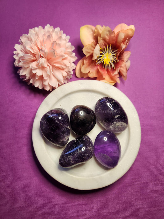 A collection of Amethyst tumbled stones with natural purple hues, photographed on a purple background. These smooth, semi-polished crystals show subtle variations in color and shape, ideal for meditation, energy work, or pocket-sized crystal healing. Perfect for supporting the Third Eye and Crown Chakras, Amethyst is known for calming energy, intuition, and spiritual clarity. Stones are grouped to highlight texture, size, and natural variation.