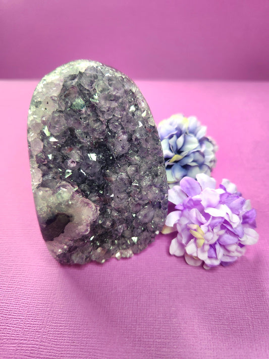 Amethyst Cluster Cut Base with sparkling purple crystals displayed on a purple background with two flower props. Natural raw amethyst geode with flat cut base, perfect for spiritual décor, meditation, and crystal healing. High-quality amethyst crystal for peace, protection, and energy cleansing.