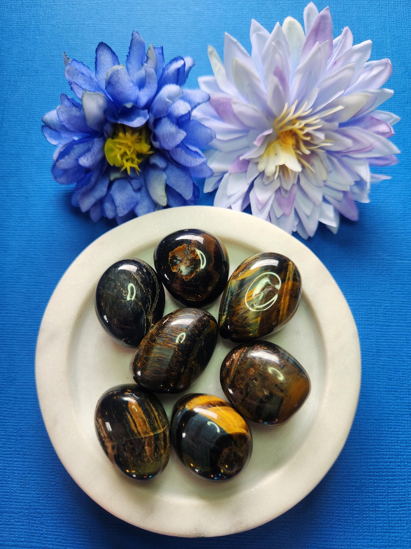 Polished Blue and Yellow Tiger’s Eye crystal tumbles displayed in a white dish on a blue background with two flower props, natural golden brown and blue chatoyant gemstones for grounding, confidence boosting, protective energy, meditation, chakra balancing, manifestation, spiritual crystal collections, and metaphysical décor