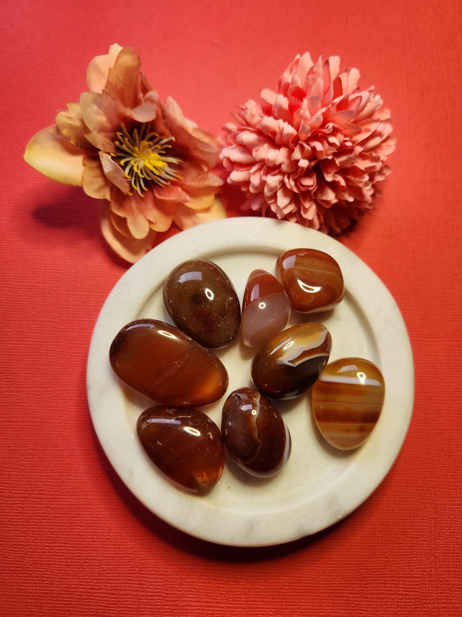 Carnelian tumble stones on white dish with flowers in background on dark red backdrop, natural healing crystals, vibrant orange gemstones, Australian crystal shop