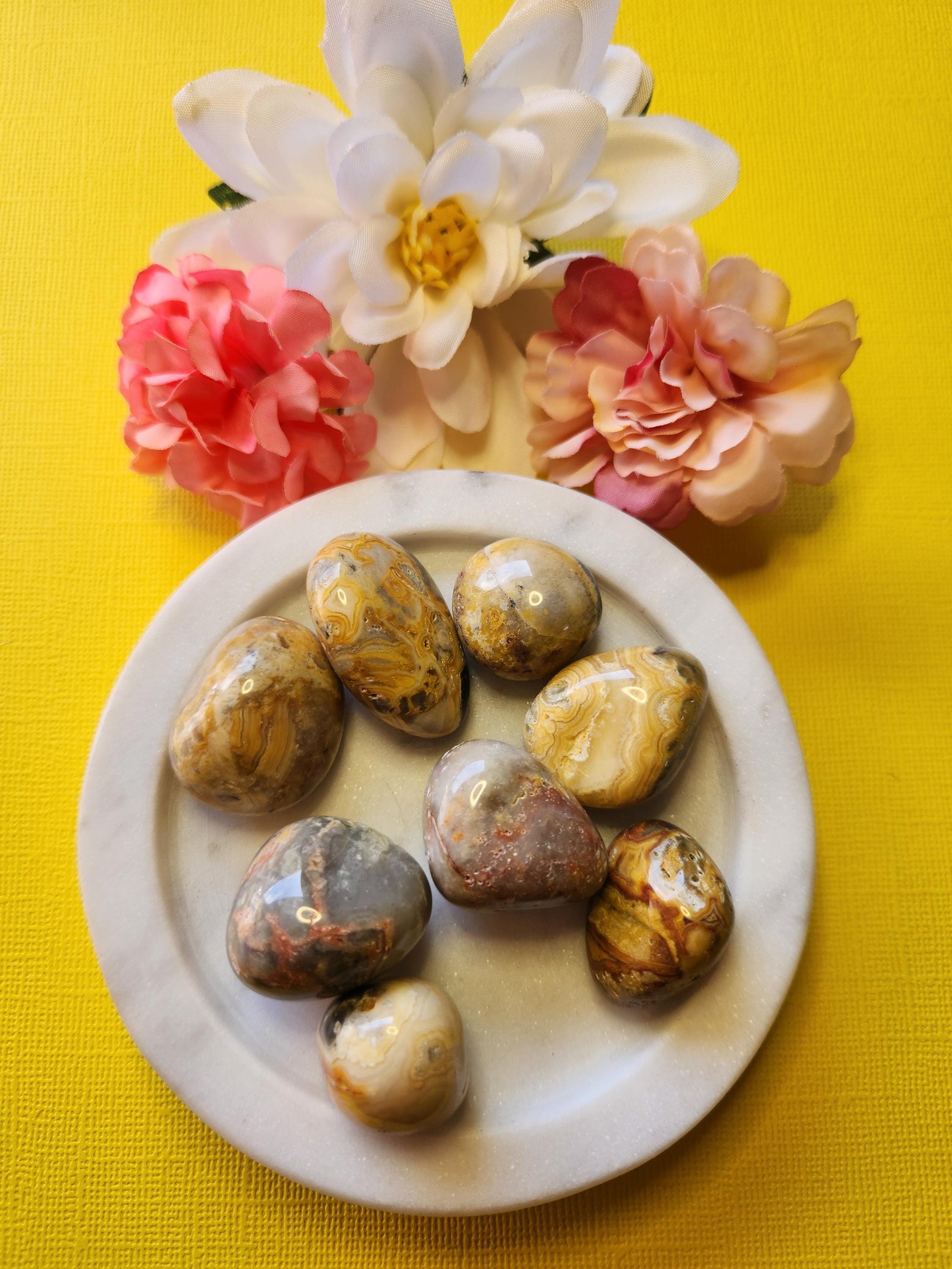 Crazy Lace Agate tumble stones in a white dish with two flower props on a yellow background, polished crystals for joy, grounding, emotional healing, and chakra balancing.