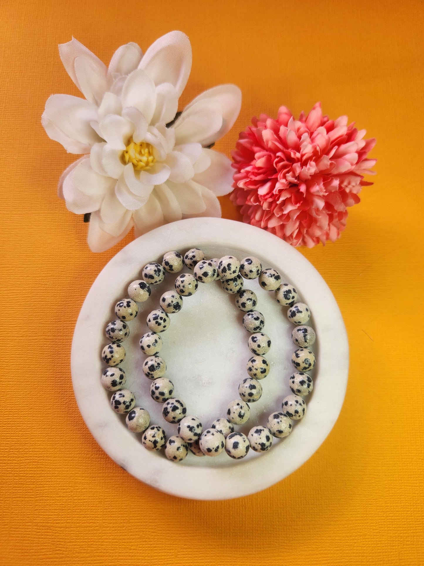 Natural Dalmatian Jasper 8mm crystal bracelets shown in a white dish with decorative flower props against an orange background, polished dalmatian jasper bead bracelets for grounding playful energy and mindful gifting