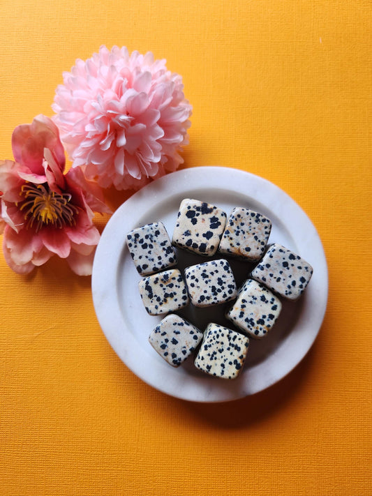 Close-up photo of polished Dalmatian Jasper cubes on a white dish, featuring natural beige stones with black spots. Two pink flowers as props, bright yellow backdrop. Perfect for crystal collectors, healing stones, meditation, and spiritual decor.
