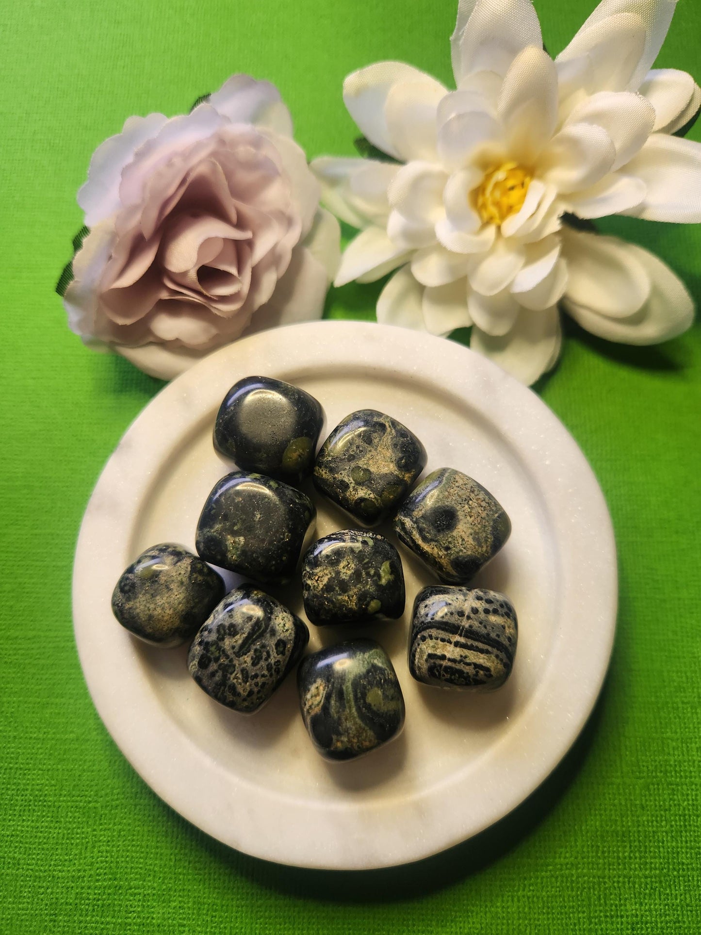 Kambaba Jasper tumble stones in a white dish with two flower props on a green background, polished crystals for grounding, calm, and spiritual growth.
