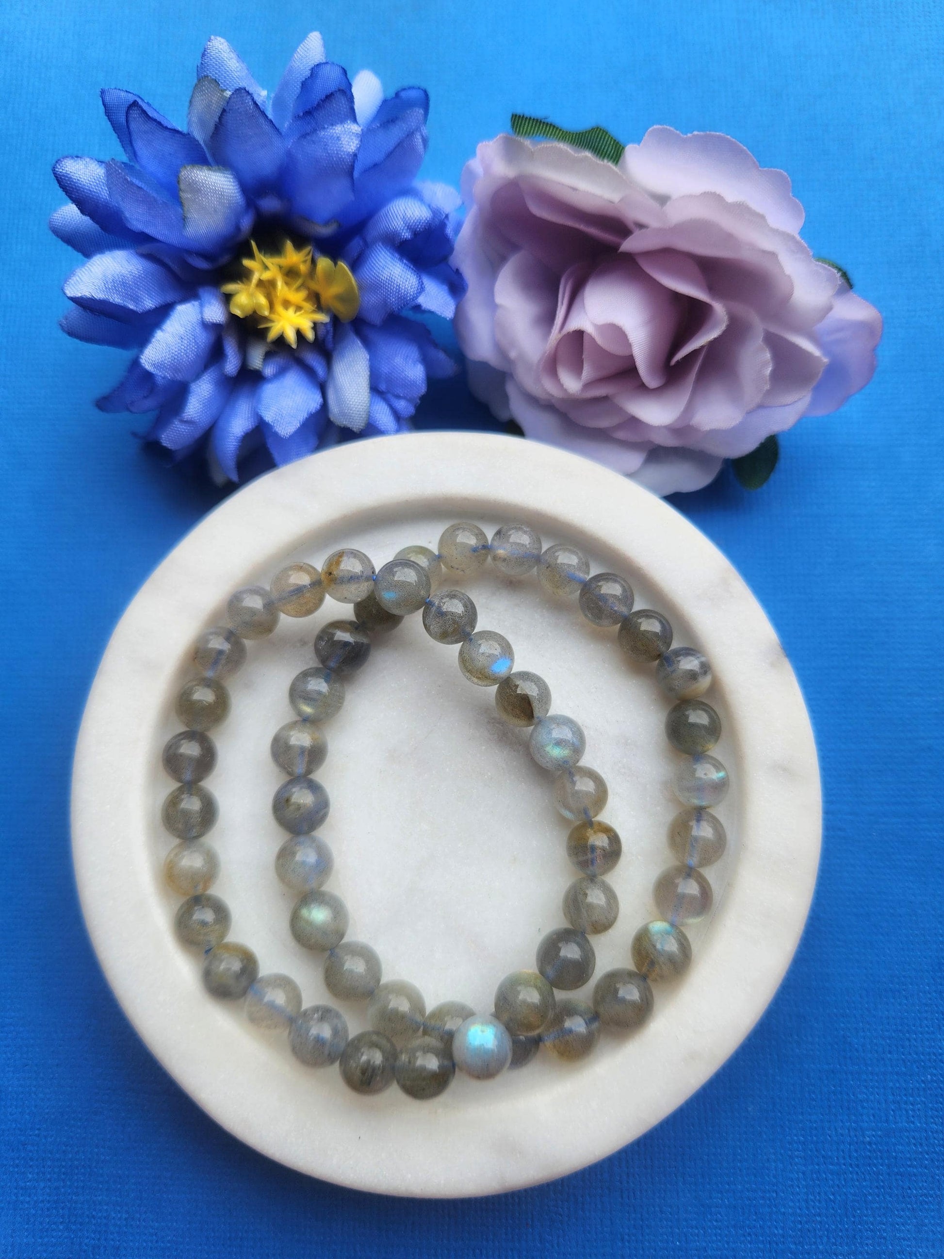 Two labradorite 8mm beaded bracelets displayed in a white dish on a blue background with soft flower props featuring polished crystal beads for protection intuition energy healing bracelet and gift