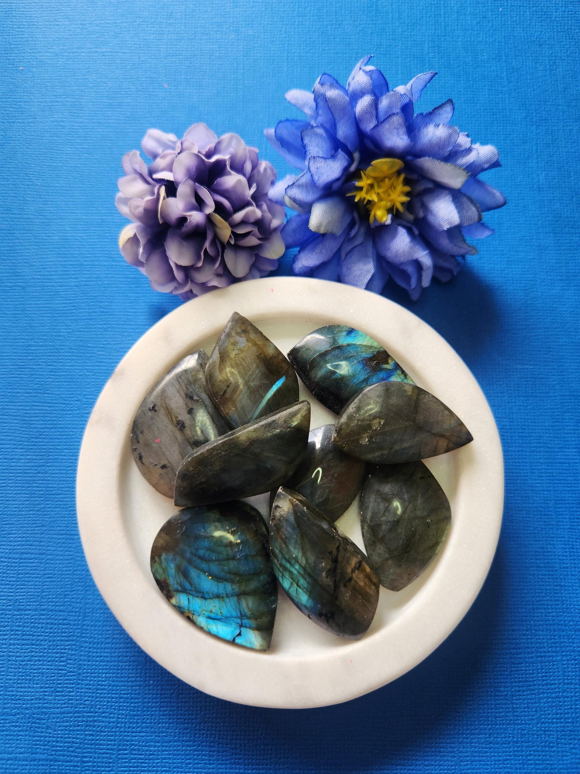 Labradorite flashy leaf carvings in a white dish with two flower props on a blue background, iridescent labradorite crystal carvings for intuition protection and energy healing, high-quality flashy leaf gemstone decor product photo