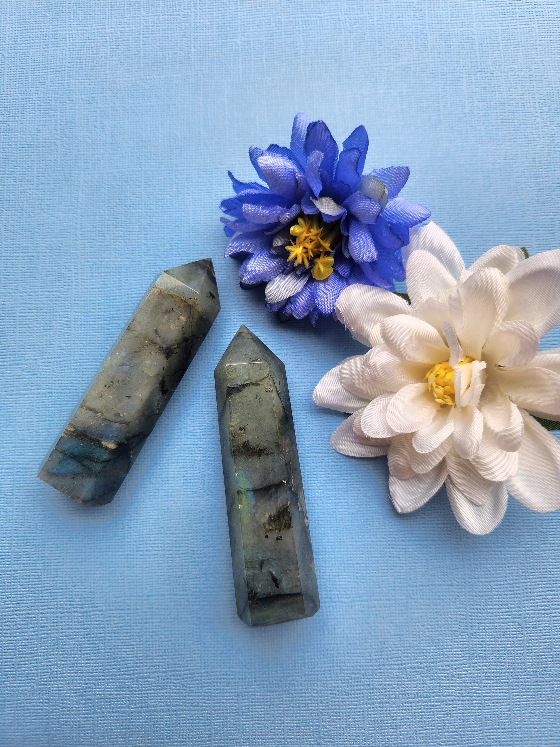 Two polished Labradorite towers with bright blue flash displayed together on a blue background, styled with a blue butterfly prop, high-grade labradorite crystal points for intuition, protection, third eye activation, and metaphysical crystal collections