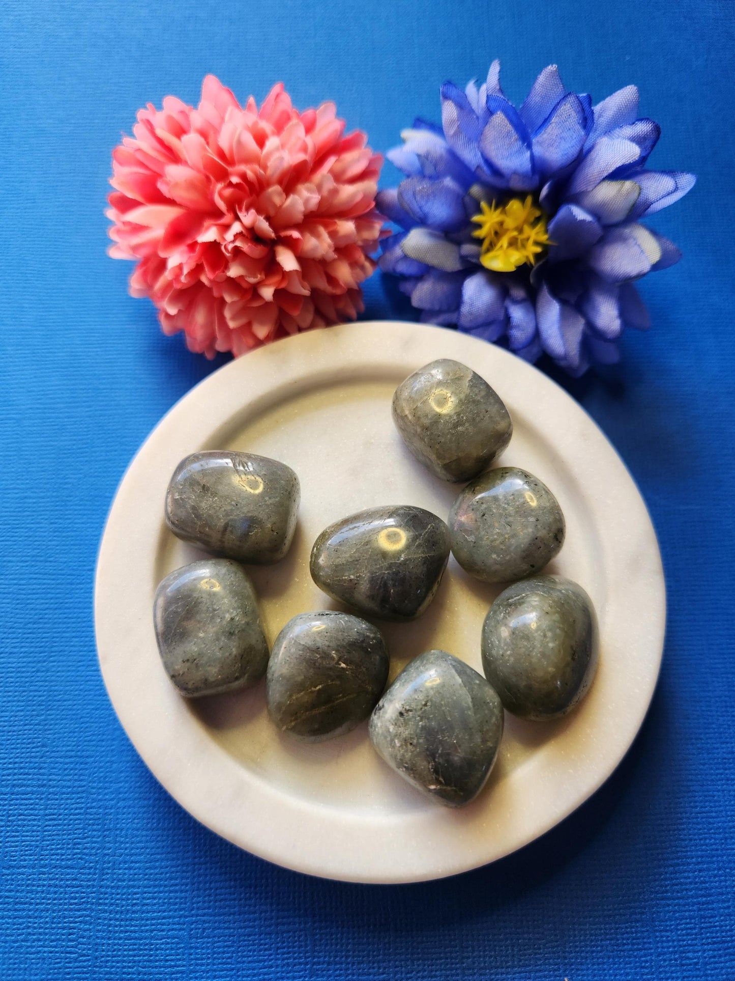 Labradorite tumble stones in a white dish with two flower props on a blue background, polished crystals with flash for protection, intuition, meditation, chakra healing, and spiritual energy work.