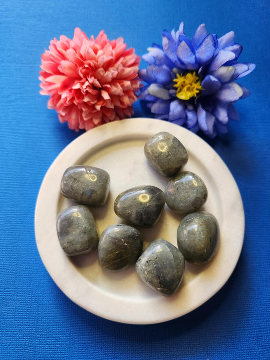 Labradorite tumble stones in a white dish with two flower props on a blue background, polished crystals with flash for protection, intuition, meditation, chakra healing, and spiritual energy work.