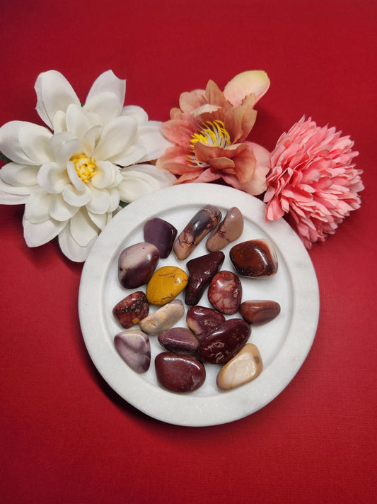 Polished Mookaite tumbled stones displayed on a vibrant red background. These natural Australian jasper crystals feature warm earthy tones of red, yellow, and cream, known for grounding energy and inner stability. Ideal for meditation, chakra balancing, and emotional healing. Mookaite supports decision-making, confidence, and vitality. Perfect for crystal collectors, energy work, and thoughtful spiritual gifts.