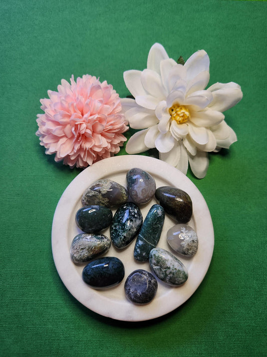 Polished Moss Agate tumbled stones shown on a green background. These natural green crystals are known for grounding, emotional healing, and promoting growth and abundance. With their moss-like patterns, each stone is unique. Ideal for meditation, chakra alignment, and spiritual work. A perfect addition to any crystal collection, Moss Agate supports new beginnings, calm energy, and connection to nature.