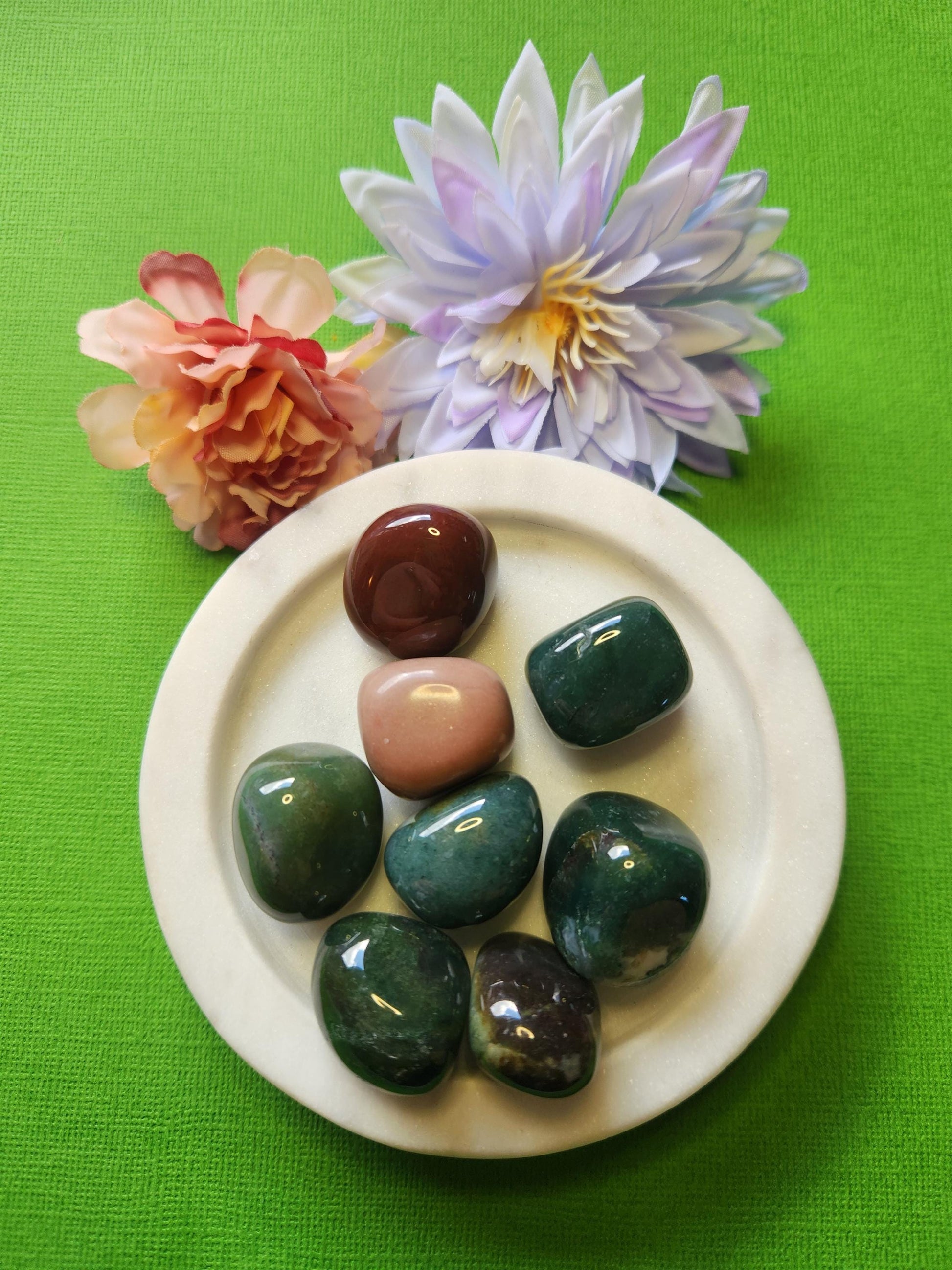 Ocean Jasper tumble stones in a white dish with flower props on a bright green background, polished healing crystals for grounding, meditation, chakra balancing, crystal collectors, and spiritual energy work.