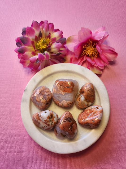 Pink Cotton Candy Agate tumble stones displayed in a white dish with two flower props on a light pink background. Soft pink agate crystals with white banding, polished for a smooth finish. Healing crystals for self love, emotional balance, calm energy, heart chakra, and spiritual wellness. Aesthetic crystal photography for Etsy listing and crystal shop display.