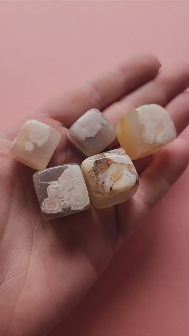 Close-up video of a hand holding polished Flower Agate cubes in small and medium sizes, showcasing delicate floral patterns on smooth stones. Light pink backdrop. Perfect for crystal collectors, emotional healing, meditation, and spiritual growth.