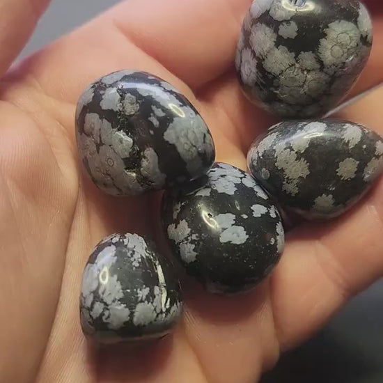 Video of a hand holding polished Snowflake Obsidian tumbles against a dark grey background, highlighting their black color with white snowflake patterns — ideal for grounding, protection, and crystal healing.