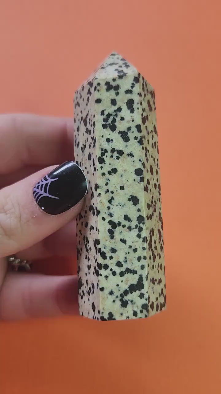 Close-up video of a polished Dalmatian Jasper crystal tower held in hand against an orange background, showcasing natural spotted jasper pattern, ideal for grounding, protection, courage, meditation, chakra balancing, manifestation, spiritual crystal collections, metaphysical décor, and high-vibration crystal healing practices