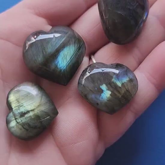 Close-up of polished Labradorite heart crystals with blue flashes, held against a blue backdrop. Natural Labradorite hearts ideal for meditation, aura protection, Chakra healing, energy work, Reiki, spiritual practice, pocket stones, and crystal collections. Perfect for crystal enthusiasts, intuitive guidance, and thoughtful gifts.