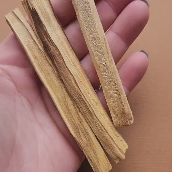 Video of a person showcasing natural Palo Santo sticks up close. Includes smooth, aromatic wood sticks used for cleansing, smudging, and spiritual rituals.
