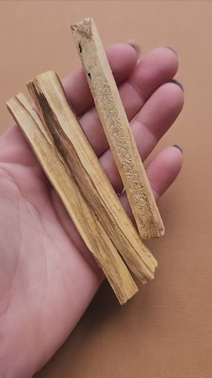 Video of a person showcasing natural Palo Santo sticks up close. Includes smooth, aromatic wood sticks used for cleansing, smudging, and spiritual rituals.