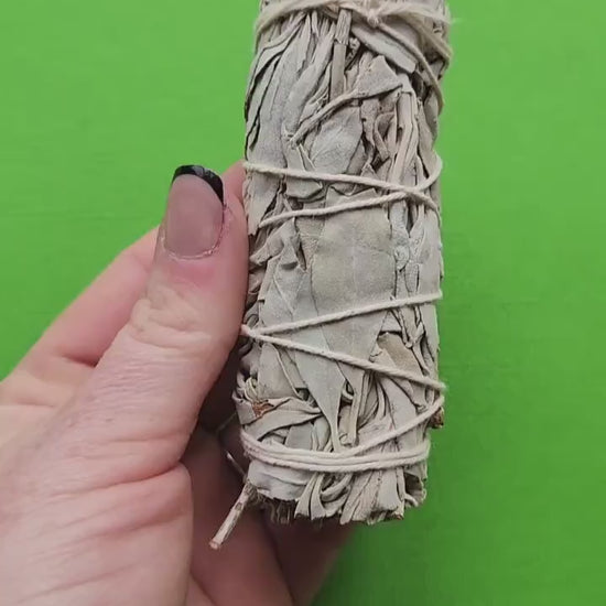 Video of a White Sage smudge stick held in hand against a green background, showing tightly bundled dried sage leaves — cleansing and purifying smudge for energy clearing, spiritual rituals, and home protection.
