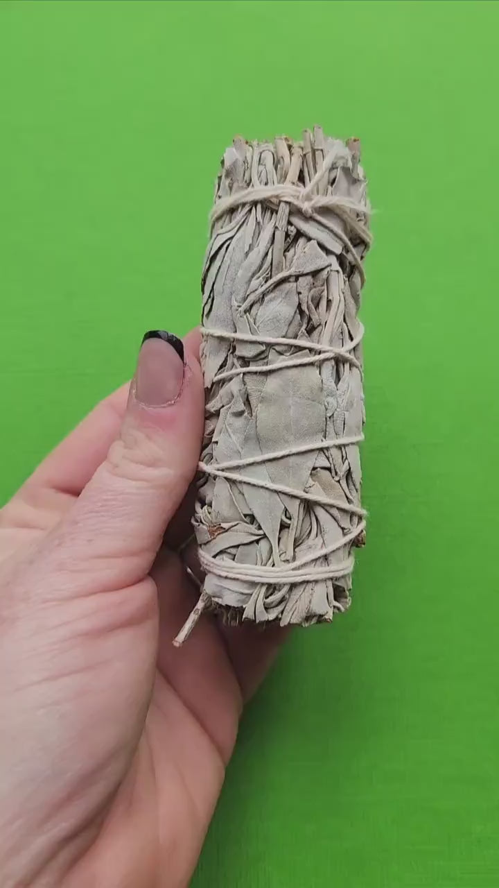 Video of a White Sage smudge stick held in hand against a green background, showing tightly bundled dried sage leaves — cleansing and purifying smudge for energy clearing, spiritual rituals, and home protection.