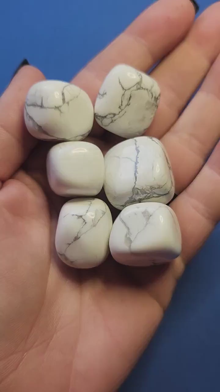 Close-up of a hand holding natural white Howlite tumbled stones with grey veining against a blue backdrop. Smooth, polished Howlite tumbles ideal for meditation, stress relief, calming energy, sleep support, Crown Chakra healing, and crystal collections. Perfect for crystal enthusiasts, spiritual practices, and mindful gifting.