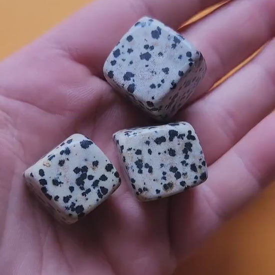 Close-up video of three polished Dalmatian Jasper cubes held in hand, showcasing natural beige stones with black spots. Bright yellow backdrop. Ideal for crystal collectors, healing stones, meditation, and spiritual energy.