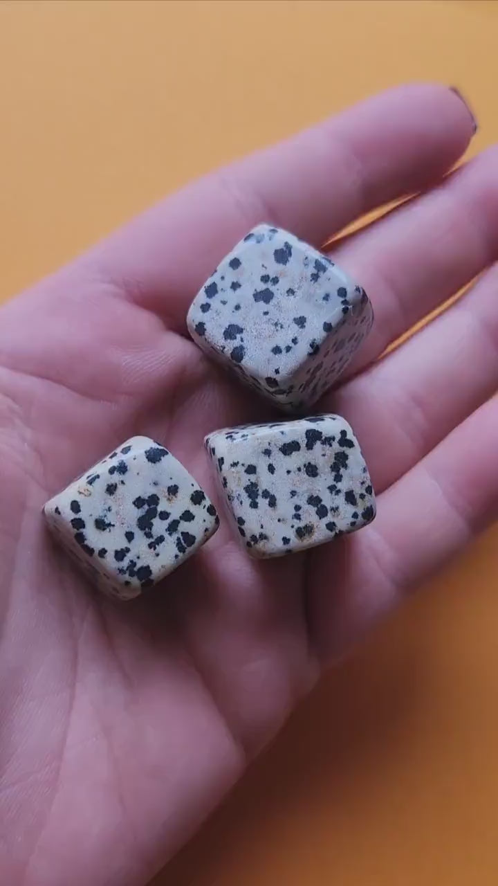 Close-up video of three polished Dalmatian Jasper cubes held in hand, showcasing natural beige stones with black spots. Bright yellow backdrop. Ideal for crystal collectors, healing stones, meditation, and spiritual energy.