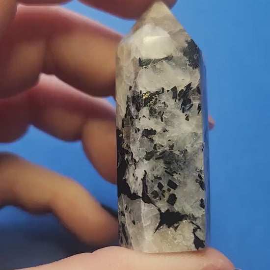 Video of a hand showing off a polished Rainbow Moonstone tower against a blue background, highlighting its iridescent flashes of blue and white shimmer — perfect for crystal collectors, intuition work, and moon energy healing.