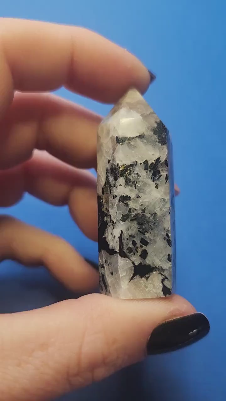 Video of a hand showing off a polished Rainbow Moonstone tower against a blue background, highlighting its iridescent flashes of blue and white shimmer — perfect for crystal collectors, intuition work, and moon energy healing.
