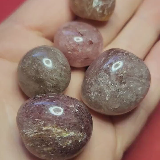 Video of a hand holding polished Strawberry Quartz tumbles against a red background, highlighting their pinkish-red hue and sparkling inclusions — ideal for love, emotional healing, and crystal energy work.