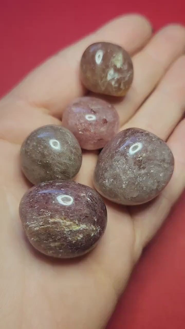 Video of a hand holding polished Strawberry Quartz tumbles against a red background, highlighting their pinkish-red hue and sparkling inclusions — ideal for love, emotional healing, and crystal energy work.