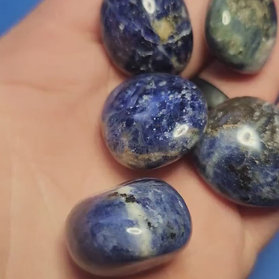Video of a hand holding polished Sodalite tumbles against a blue background, highlighting their deep blue color with white veining — ideal for clarity, intuition, and crystal healing.