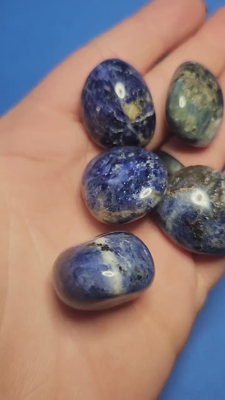 Video of a hand holding polished Sodalite tumbles against a blue background, highlighting their deep blue color with white veining — ideal for clarity, intuition, and crystal healing.