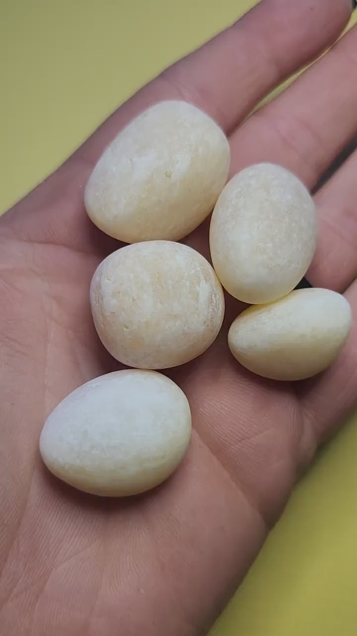 Video of Yellow Calcite tumbles in hand against a yellow background — showcasing their soft golden glow, polished finish, and natural crystal texture. Perfect close-up for crystal healing, solar plexus chakra energy, and metaphysical crystal collection enthusiasts.