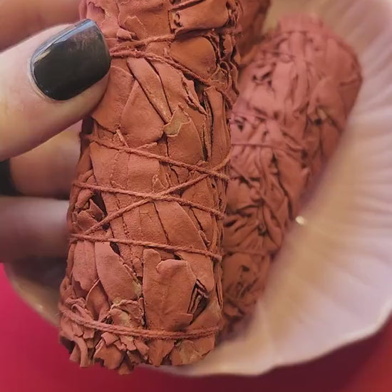 Close-up video of three Dragon’s Blood Sage smudge sticks held in hand against a red background, showing the rich red resin and dried sage, perfect for cleansing, energy clearing, and spiritual rituals.