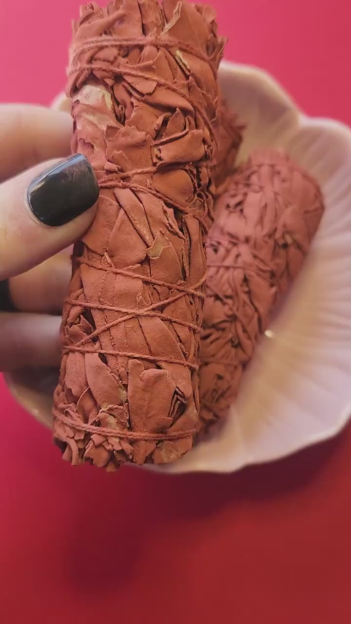 Close-up video of three Dragon’s Blood Sage smudge sticks held in hand against a red background, showing the rich red resin and dried sage, perfect for cleansing, energy clearing, and spiritual rituals.
