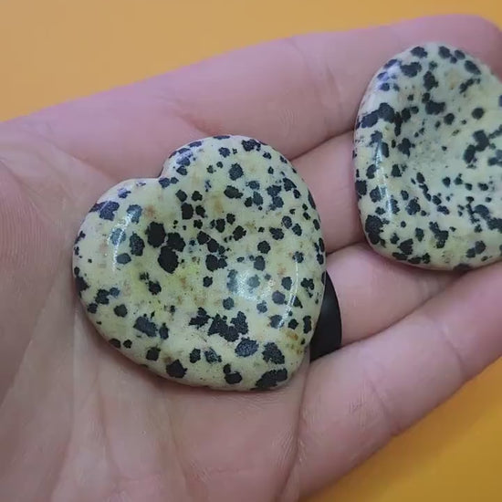 Showing two Dalmatian Jasper heart-shaped worry stones in my hand against a yellow background, close-up clip highlighting crystal texture, grounding energy and stress-relief properties.