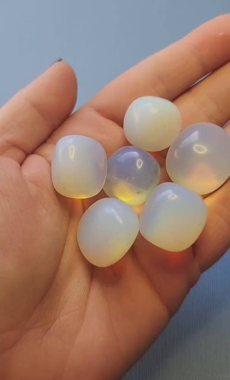 Video showing polished Opalite tumbles on a light blue background. Features smooth, translucent blue stones that catch the light. Perfect for crystal collectors, healing, meditation, and spiritual gifts