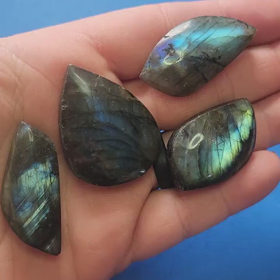 Hand holding labradorite leaf carvings against a blue background, flashing iridescent labradorite crystal leaves for intuition, protection, and energy healing, close-up product video