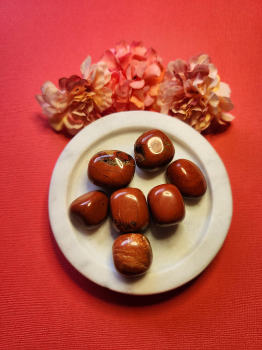 Red Jasper tumbles displayed on a vibrant red background, showcasing their rich, deep red color and smooth polished surfaces. These grounding stones are prized for their healing properties, energy balance, and support during meditation. The monochromatic red backdrop enhances the bold hues of the jasper, making the stones stand out vividly. Perfect for crystal collectors, chakra healing, and holistic wellness practices.