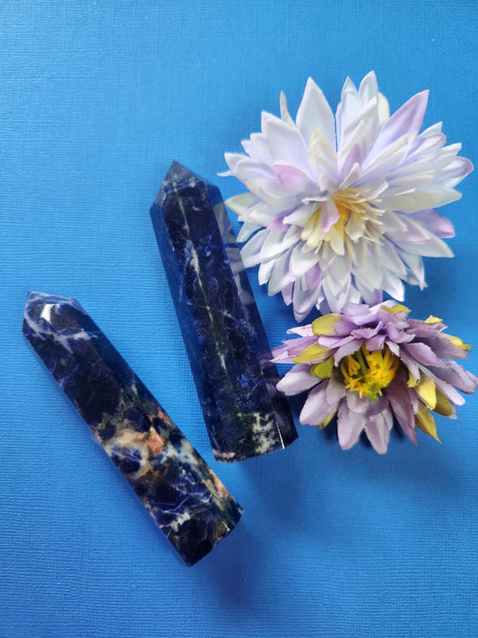 Two polished Sodalite crystal towers displayed together on a blue background with two flower props, deep blue gemstone points with white veining, ideal for intuition, clarity, meditation, chakra balancing, spiritual healing, manifestation, metaphysical crystal collections, and decorative crystal displays.