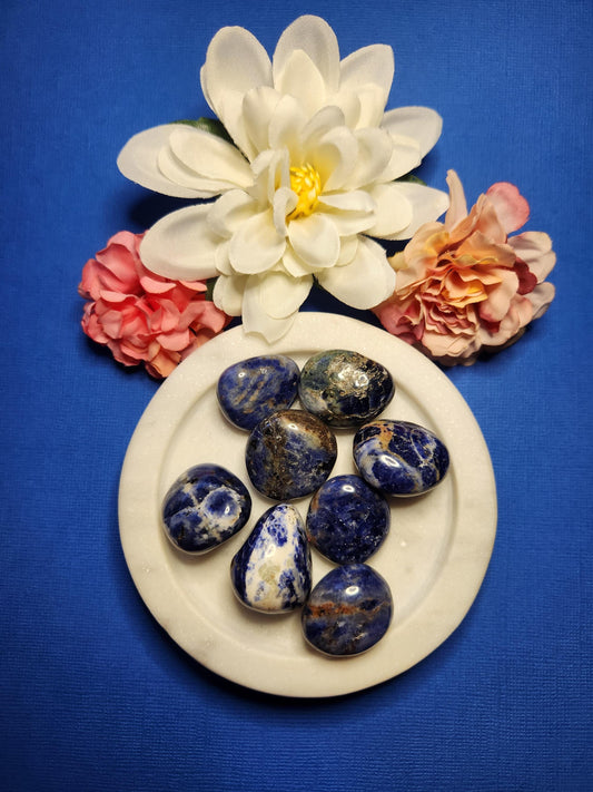 Sodalite tumble displayed on a dark blue background, showcasing its deep blue color with white marbling and natural patterns. This polished gemstone is known for enhancing communication, intuition, and emotional balance. Ideal for throat chakra healing, meditation, and spiritual practices. The rich blue backdrop highlights the calming energy of the stone, making it perfect for crystal collectors, healers, or thoughtful gifting.