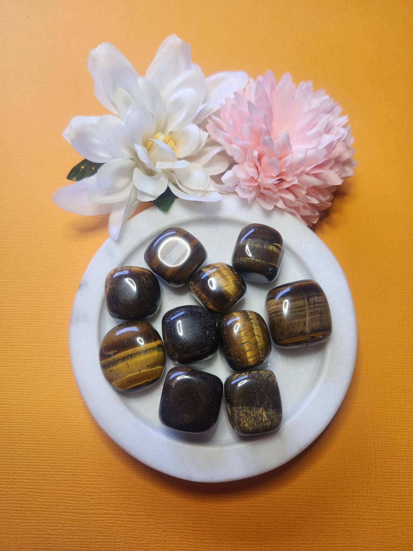 Tiger’s Eye tumbles displayed on a bright yellow background, highlighting their rich golden-brown tones with characteristic chatoyancy and polished finish. These protective and grounding gemstones are known for boosting confidence, focus, and energy balance. The vibrant yellow backdrop enhances the warm, shimmering hues of the stones, making them perfect for crystal collections, meditation, and healing practices.