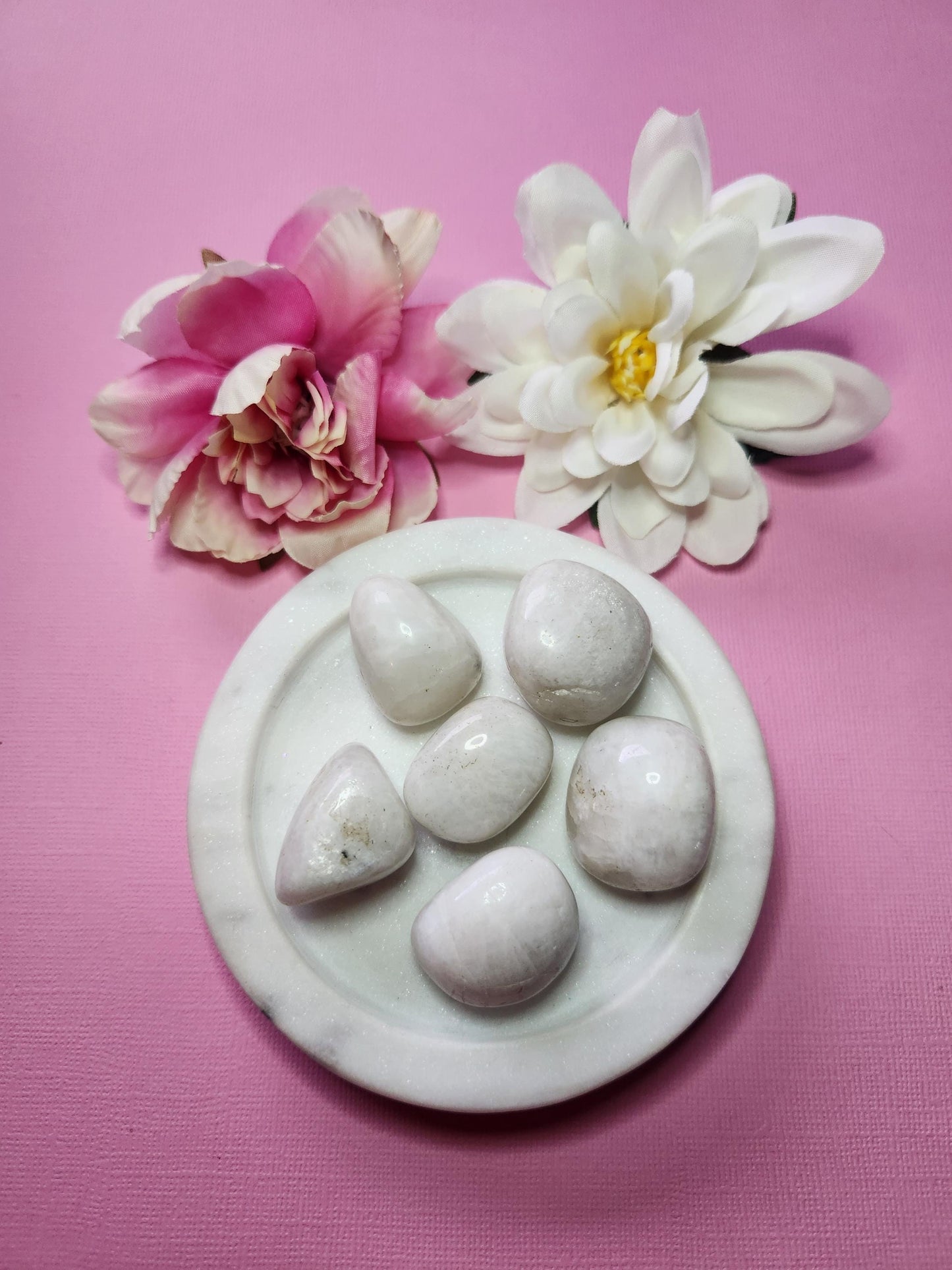 White Moonstone crystal tumbles displayed in a white dish on a pink background with two flower props, polished natural gemstones for intuition, emotional balance, feminine energy, calming energy, meditation, chakra healing, manifestation, spiritual crystal collections, and metaphysical décor