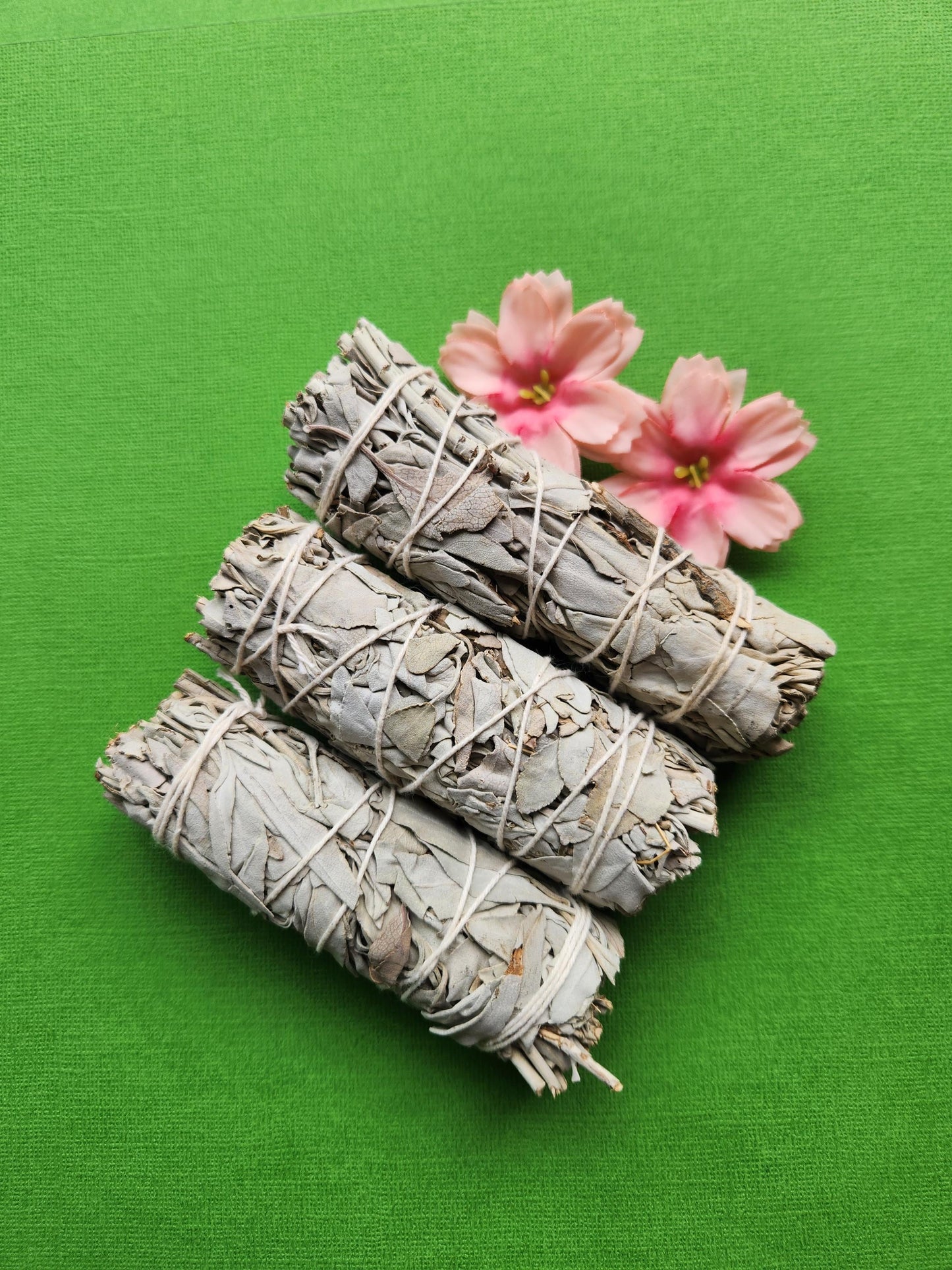 Three white sage sticks displayed on a vibrant bright green background, showcasing tightly bundled dried sage leaves with natural earthy tones. These sage sticks are perfect for smudging, cleansing rituals, and spiritual practices. The vivid green backdrop highlights the natural texture and color of the sage bundles, making them ideal for energy clearing, meditation, and holistic wellness.